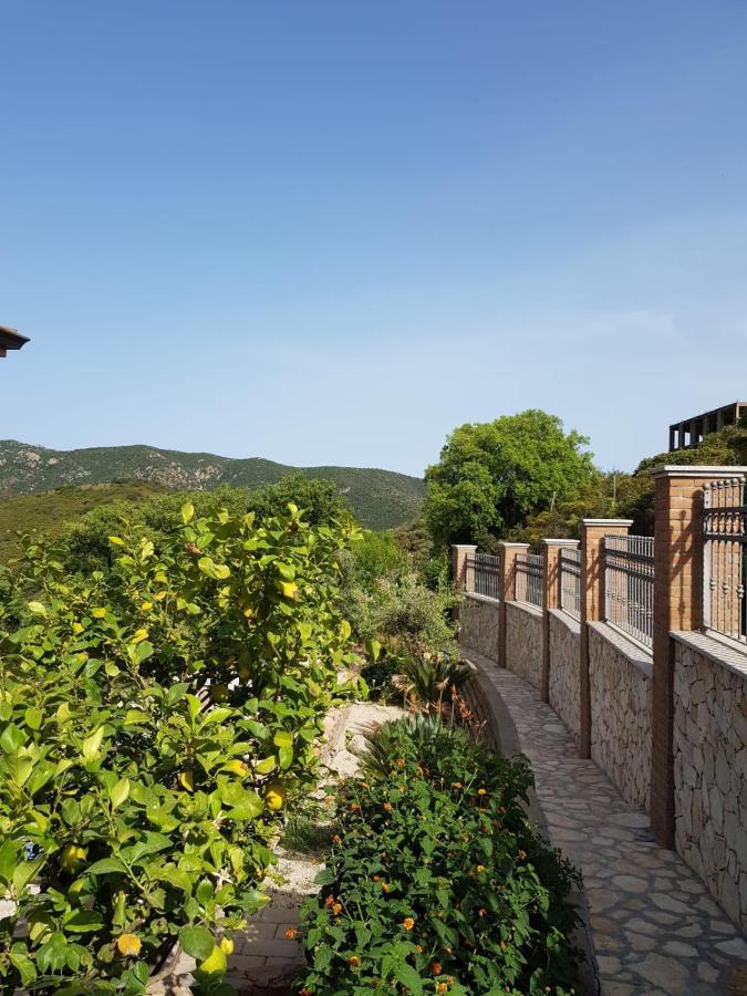 "La Pavoncella" Chia - Domus De Maria Villa Buitenkant foto